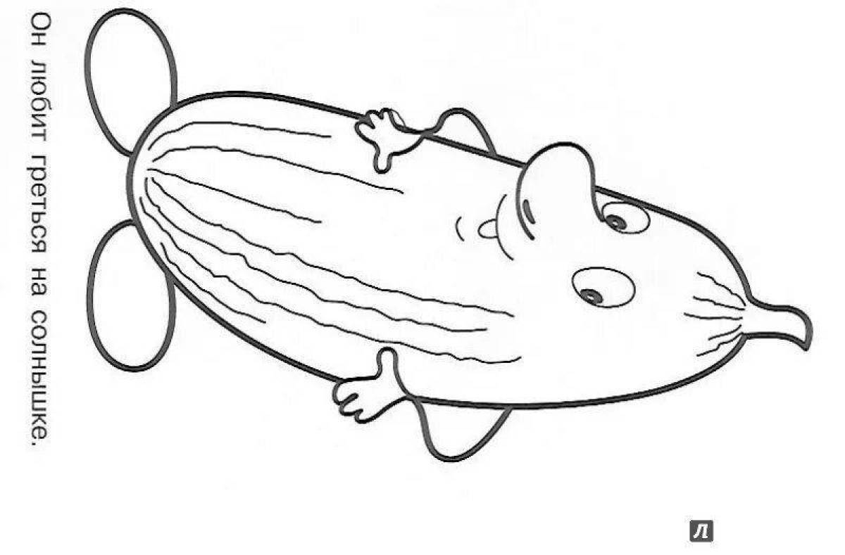 Смешная раскраска кабачков