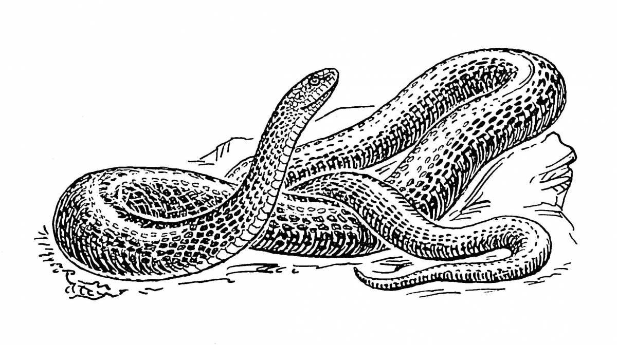 Exotic viper coloring page