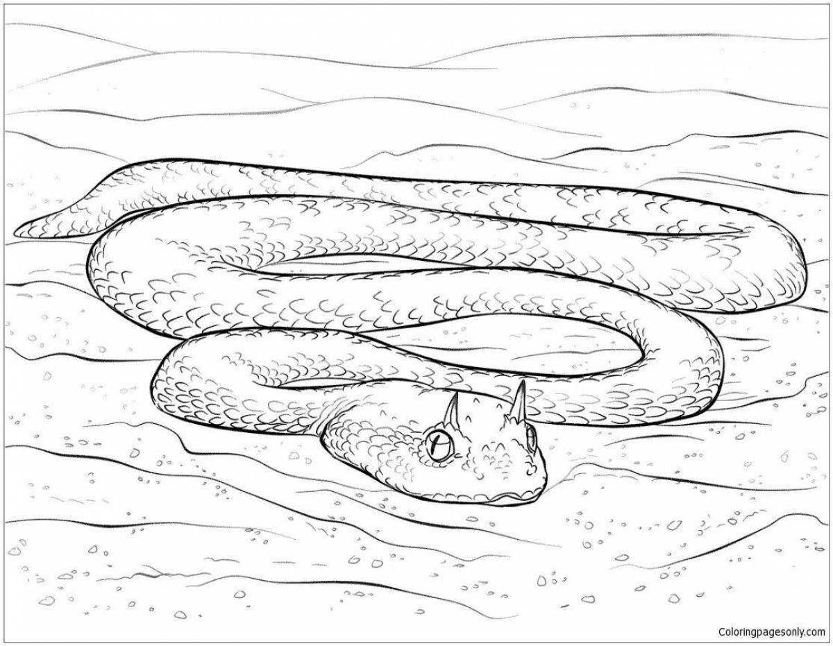 Adorable viper coloring page