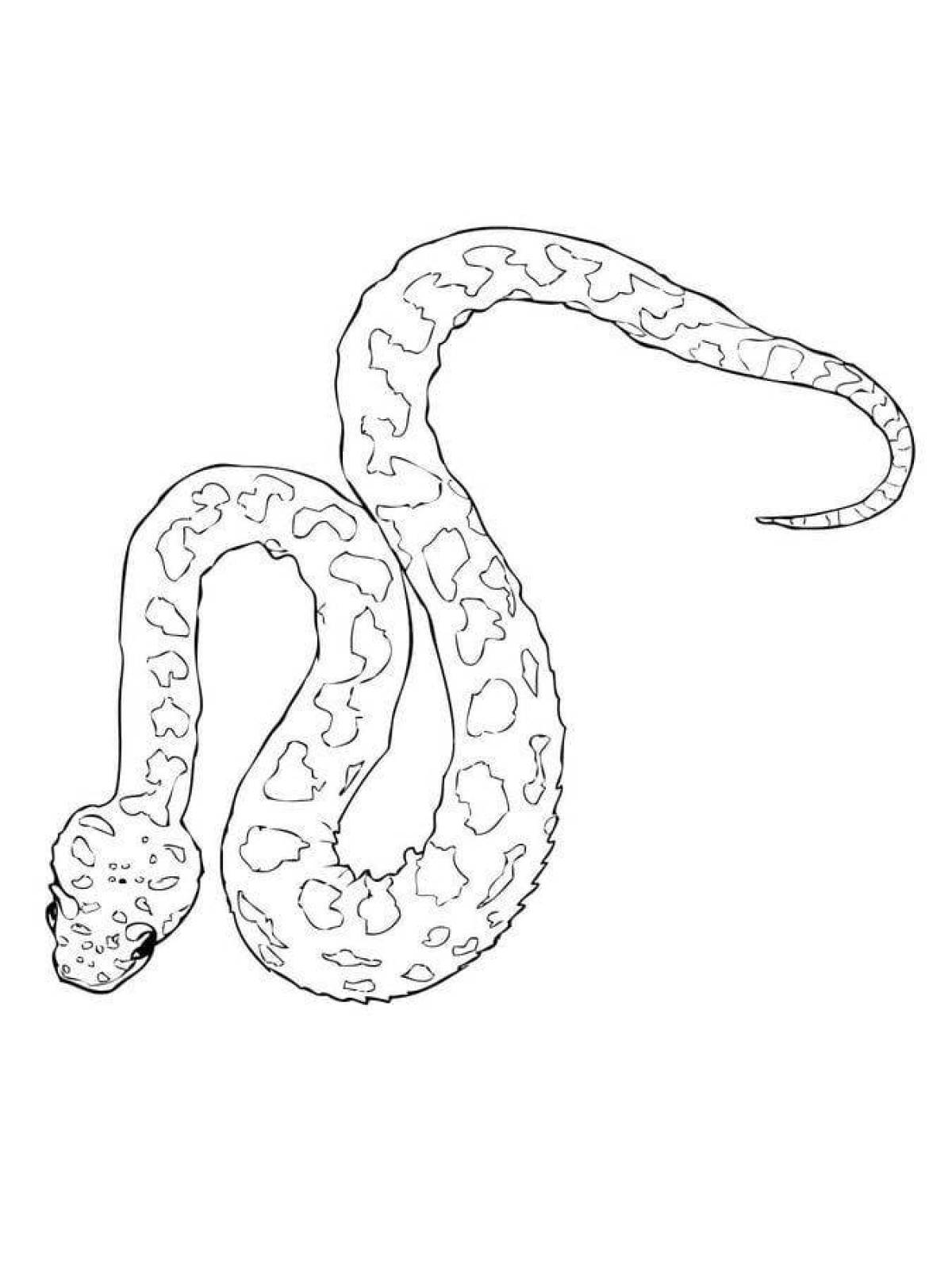 Coloring page dazzling viper