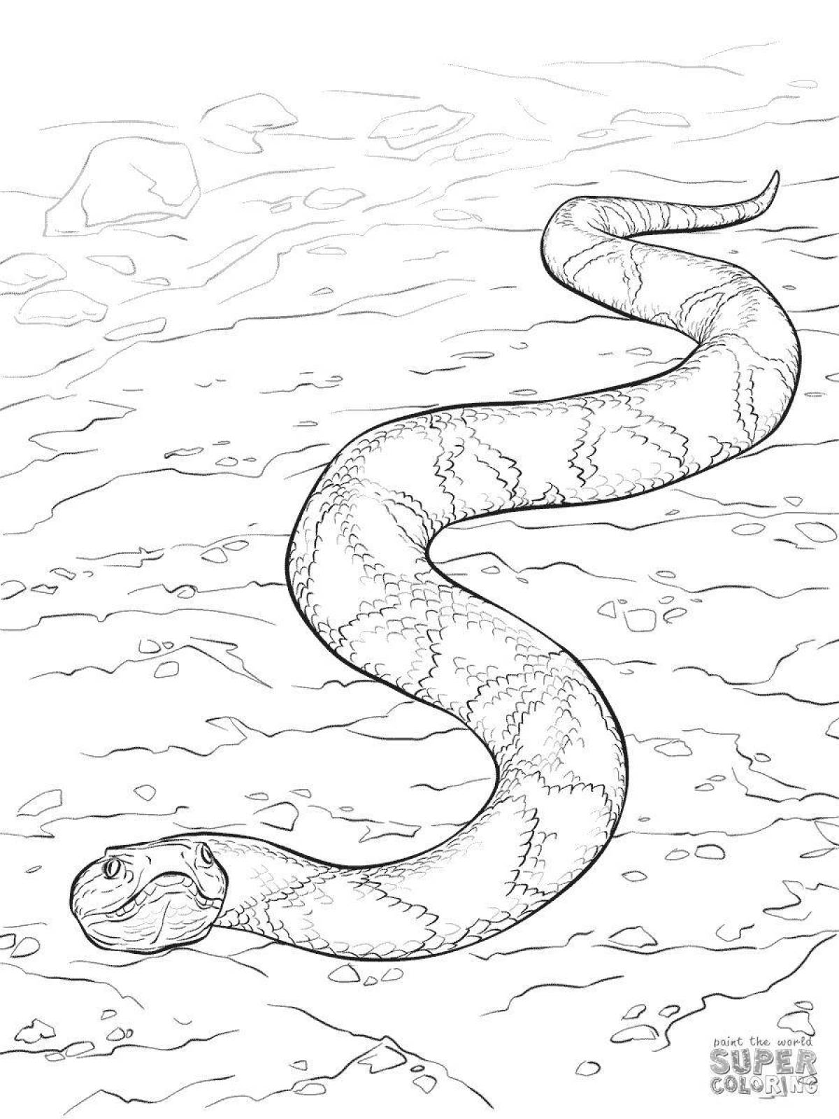 Coloring page elegant viper