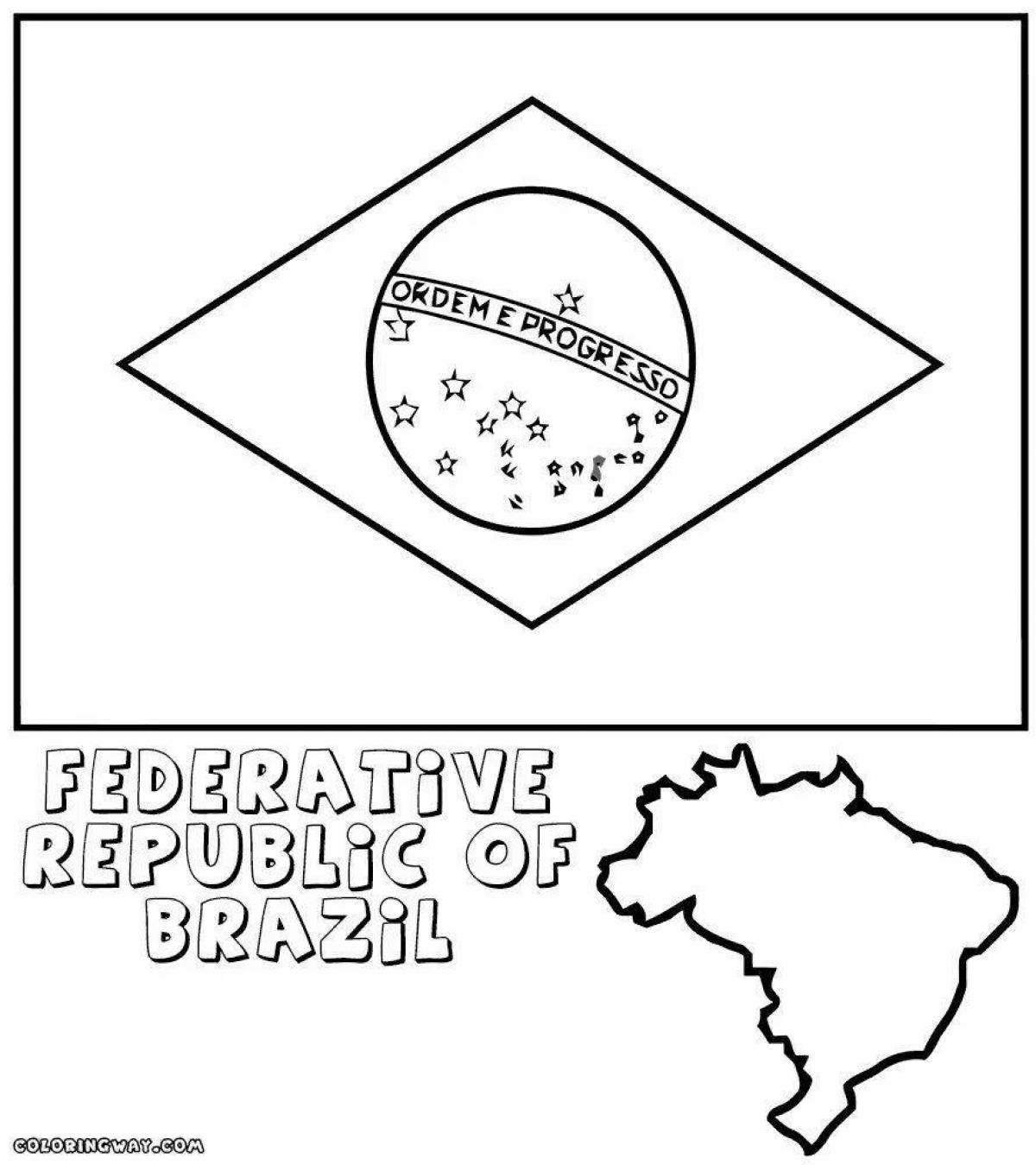 Fun coloring of the brazilian flag