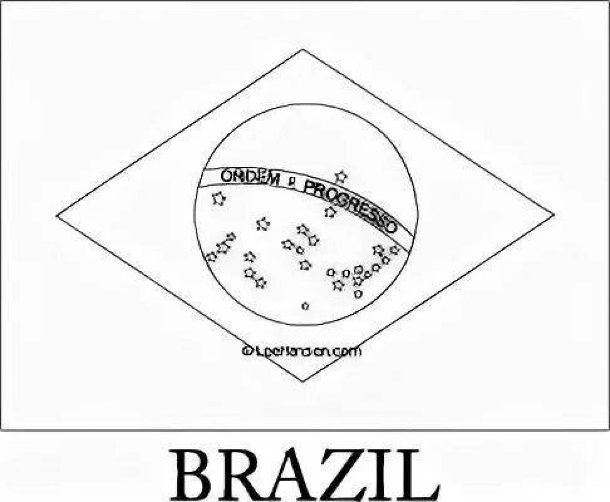 Coloring page nice flag of brazil