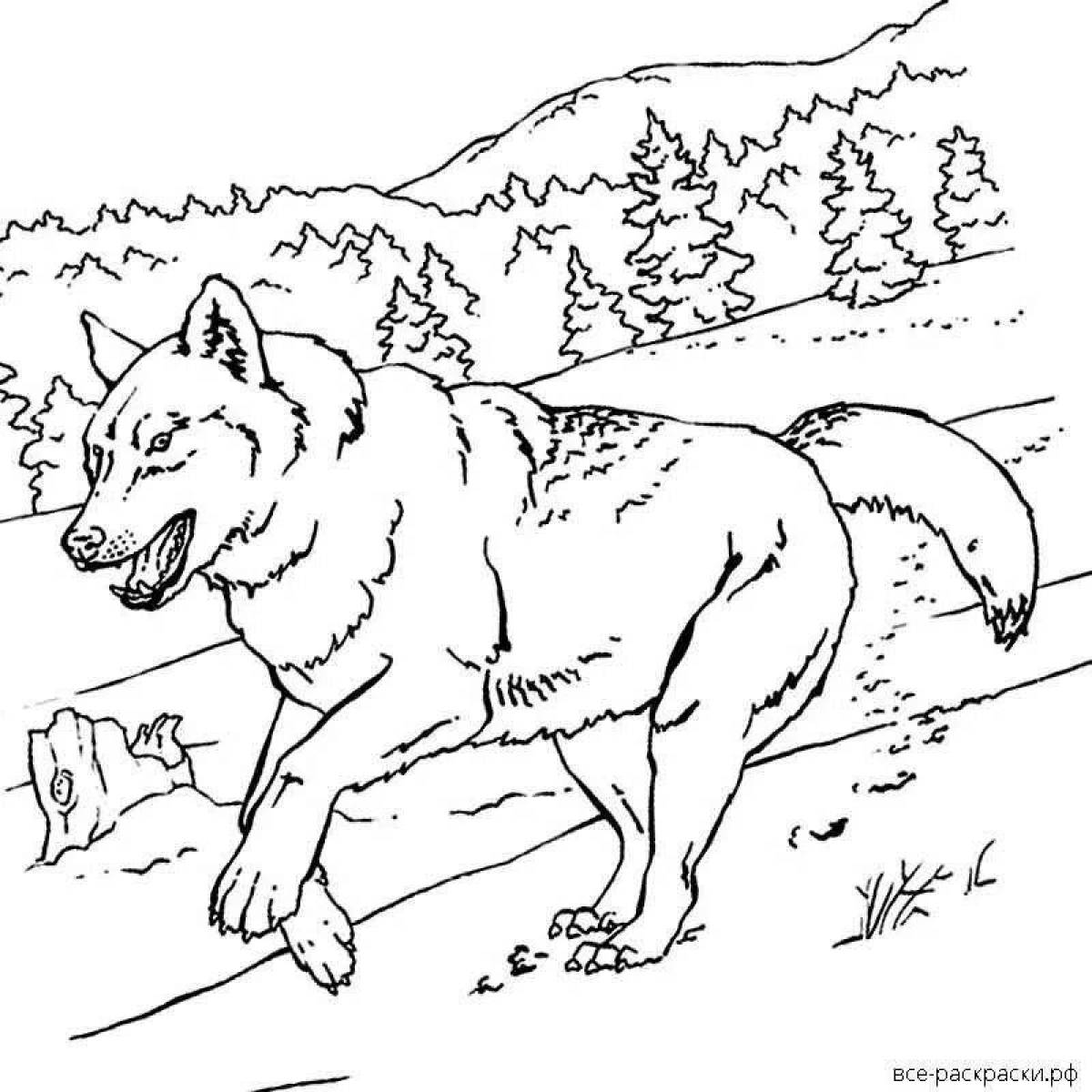 Majestic polar wolf coloring page