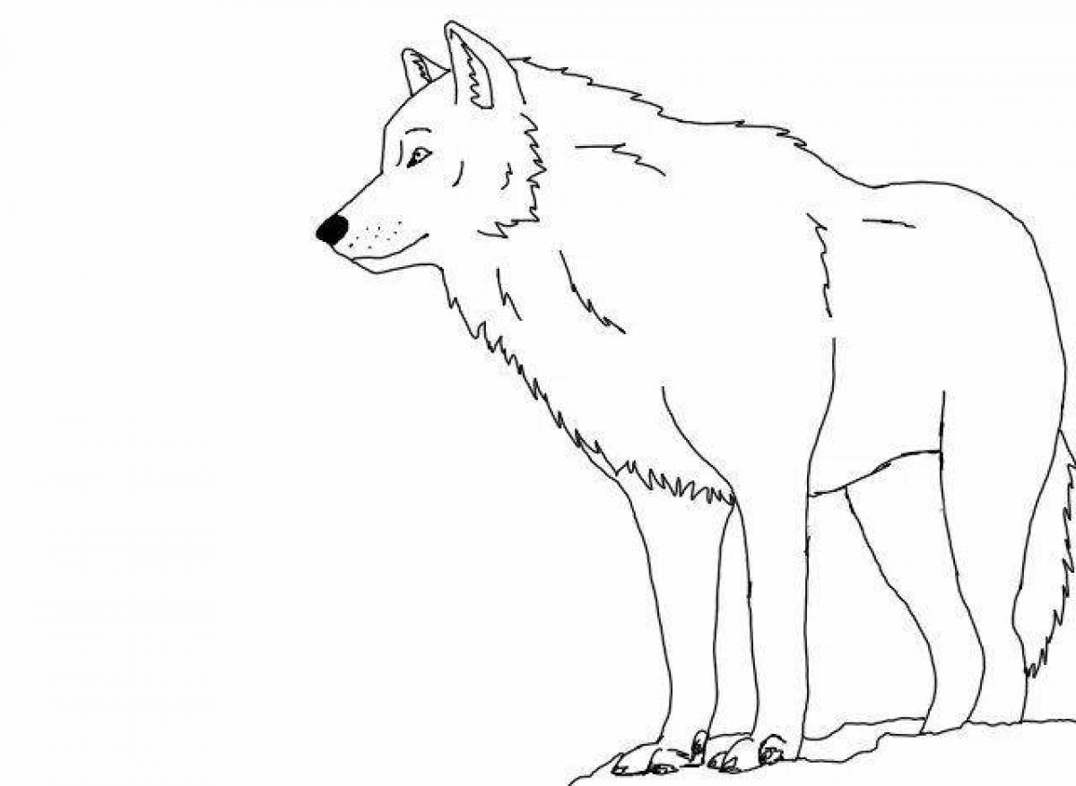 Контурное изображение волк для детей