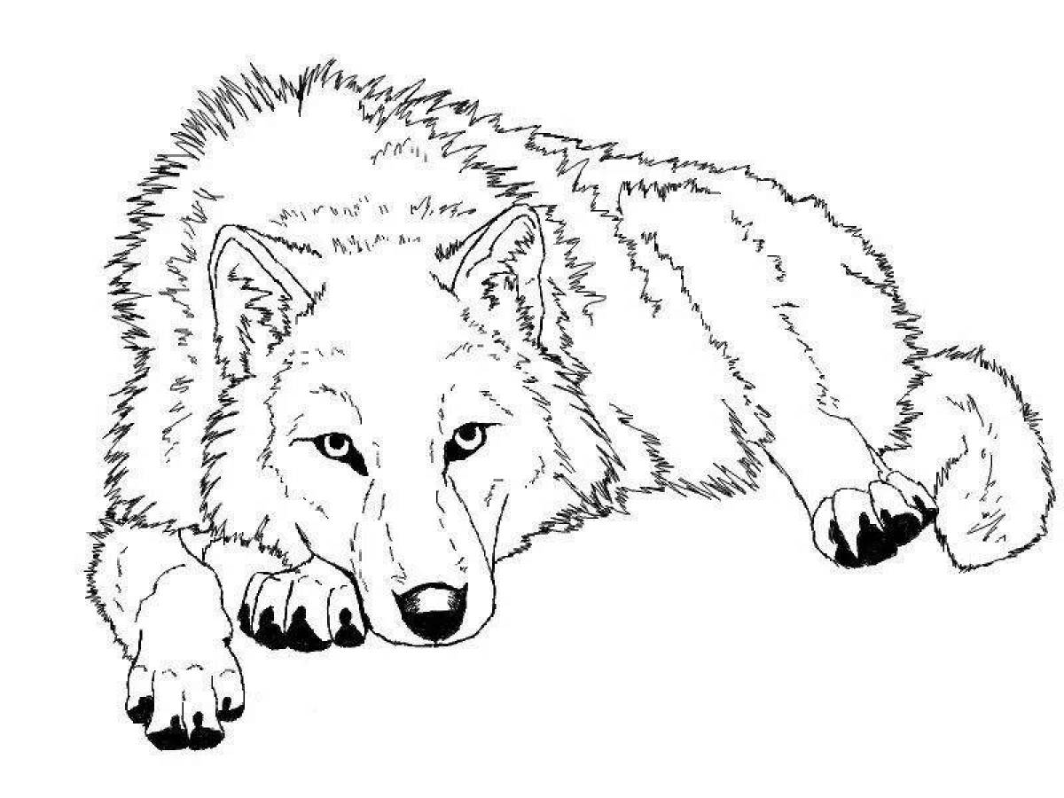 Graceful polar wolf coloring page