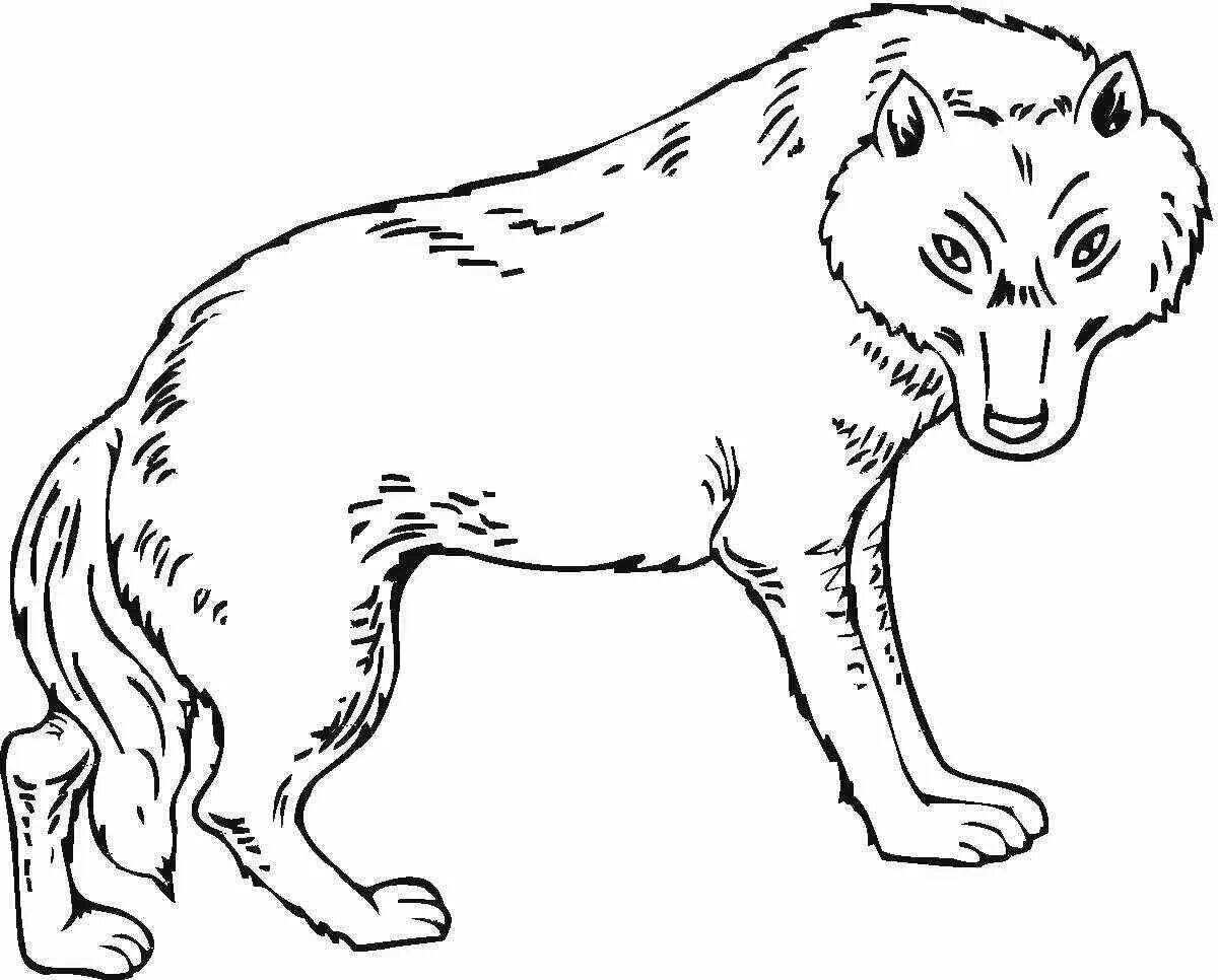 Amazing polar wolf coloring page