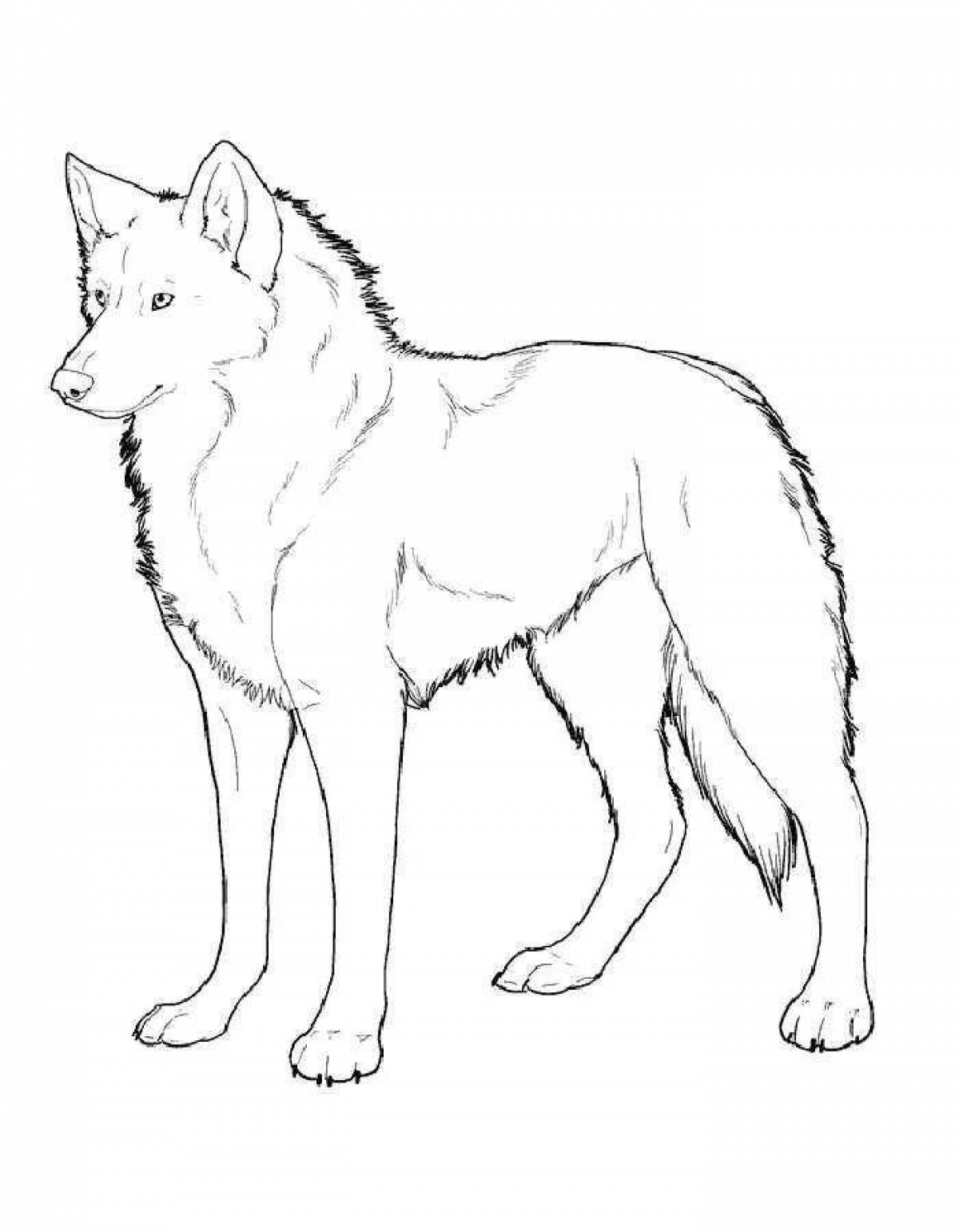 Generous polar wolf coloring page