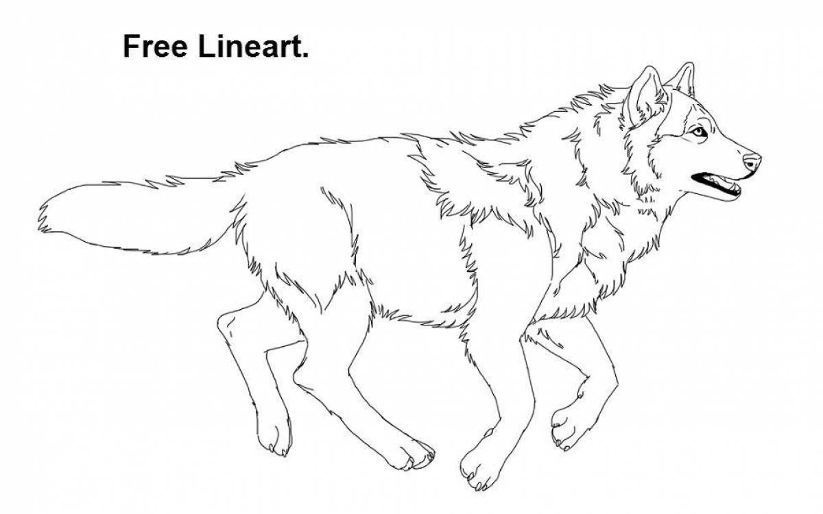 Polar wolf coloring page