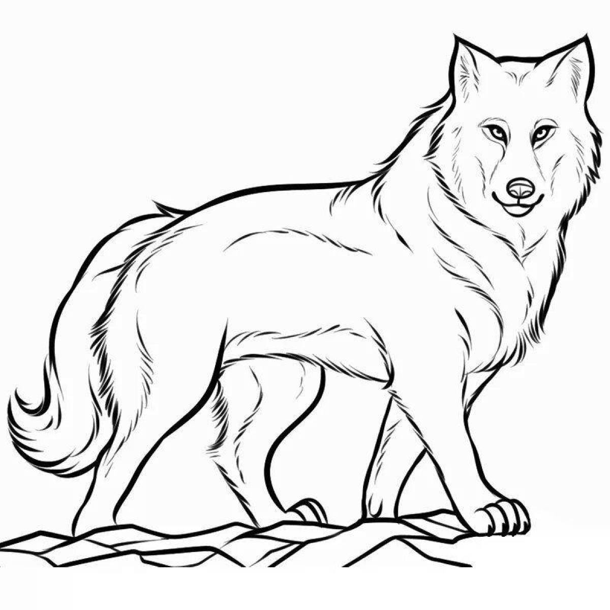 Adorable polar wolf coloring page