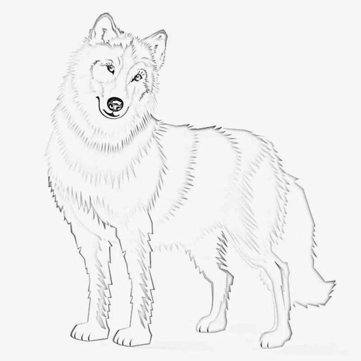 Polar wolf #2