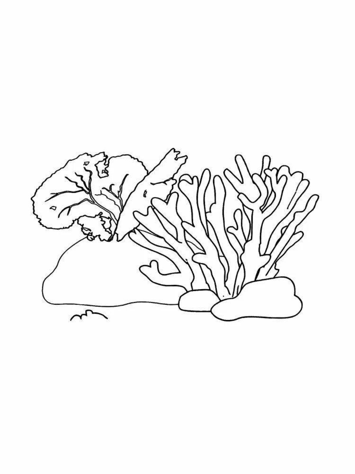 Coloring coral for kids