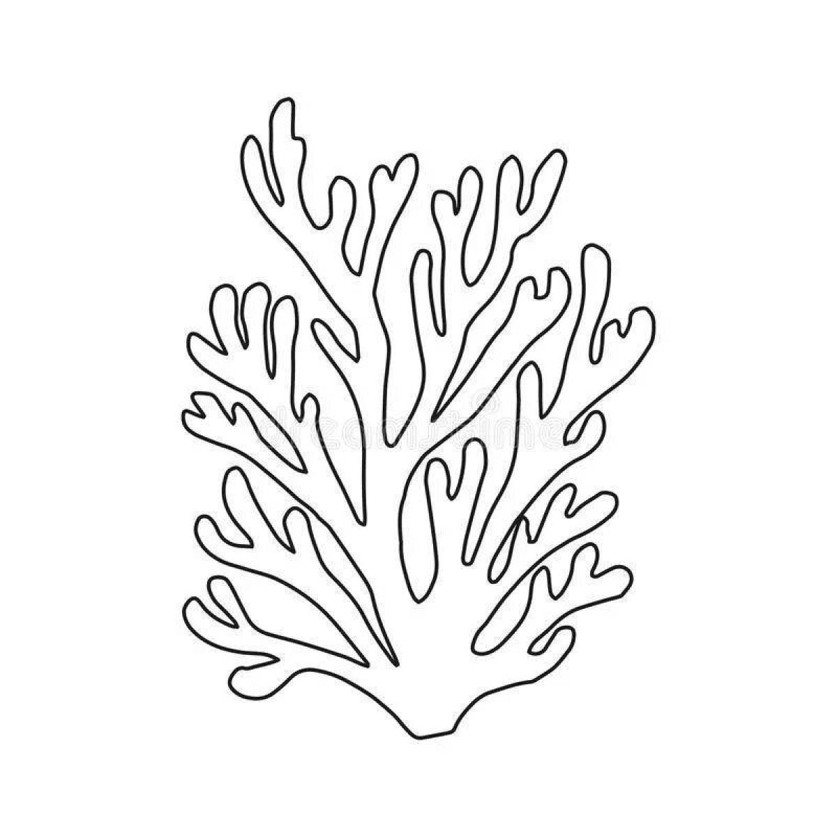 Fun coral coloring page for kids