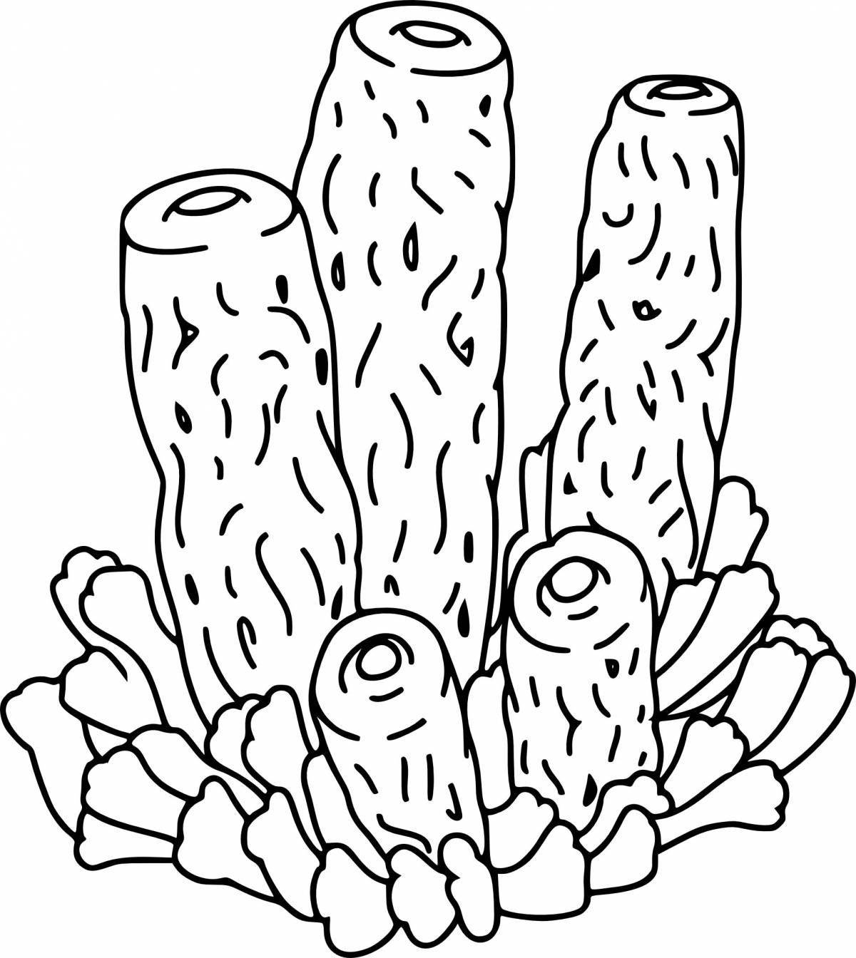 Fun coral coloring book for kids