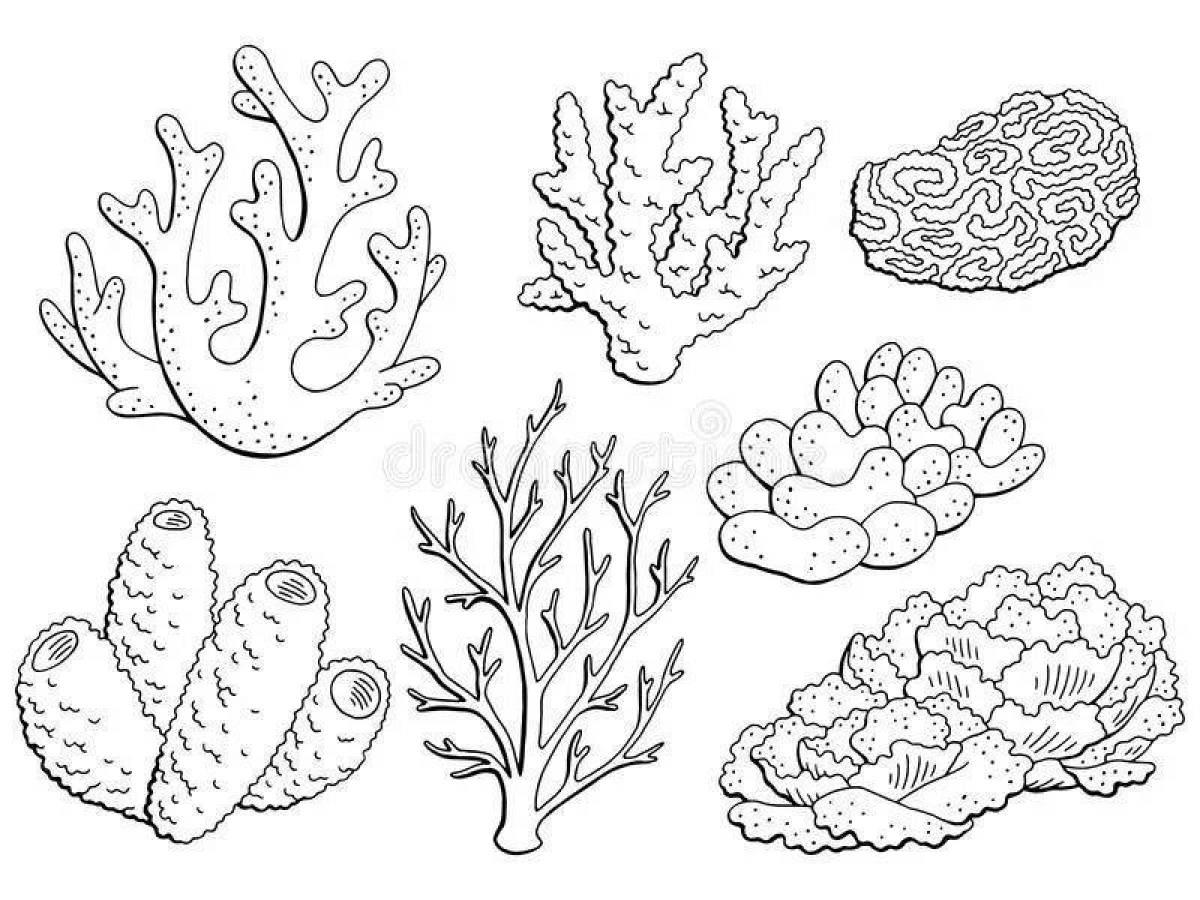 Shining coral coloring book for kids