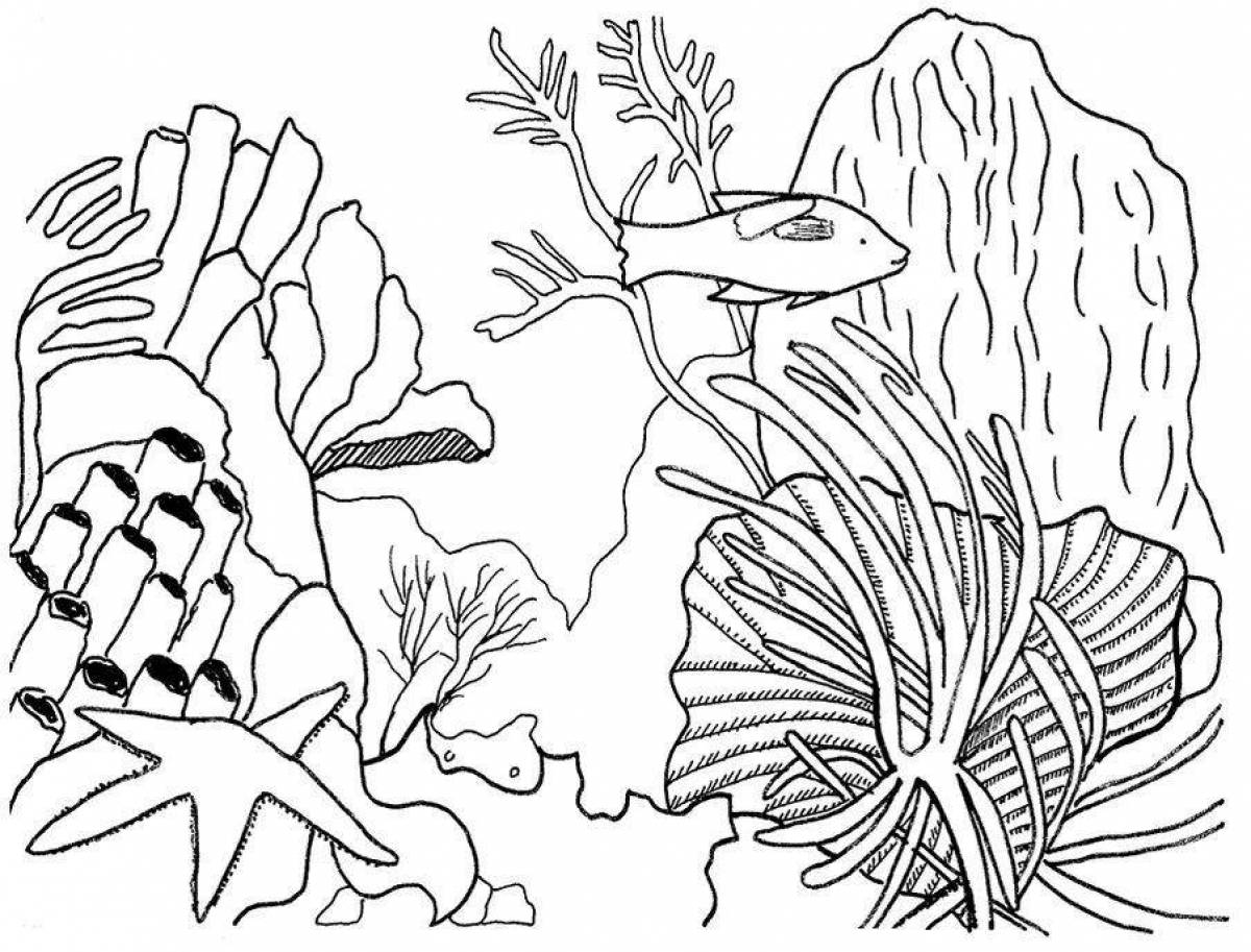 Sparkling coral coloring book for kids