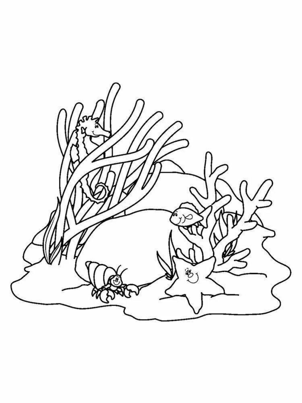 Морские растения раскраска