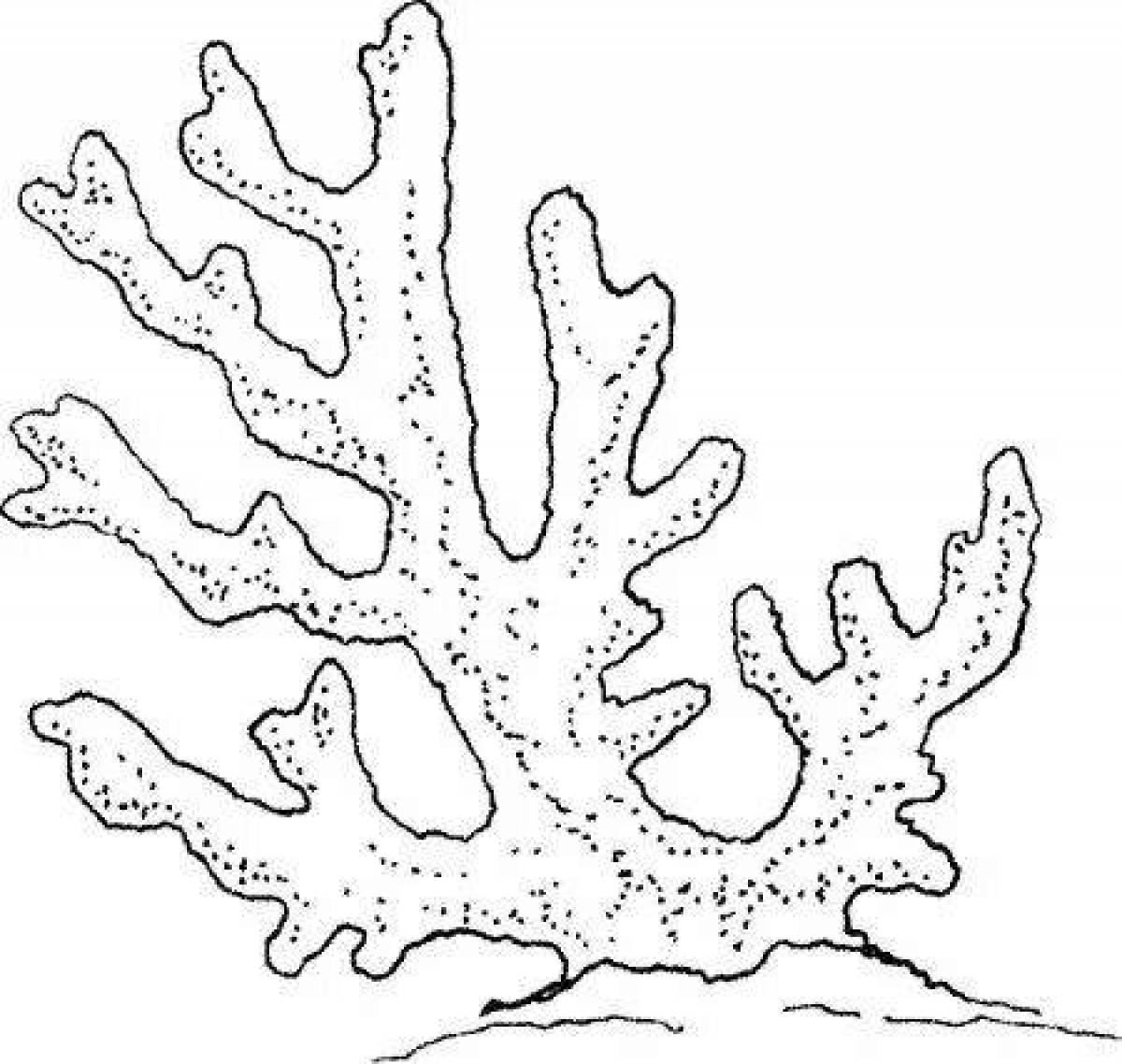 Sweet coral coloring pages for kids