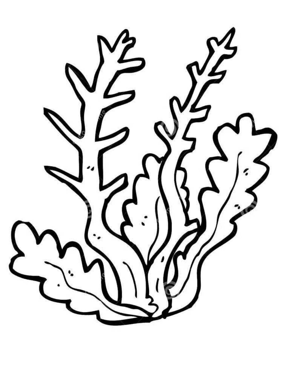 Amazing coral coloring book for kids