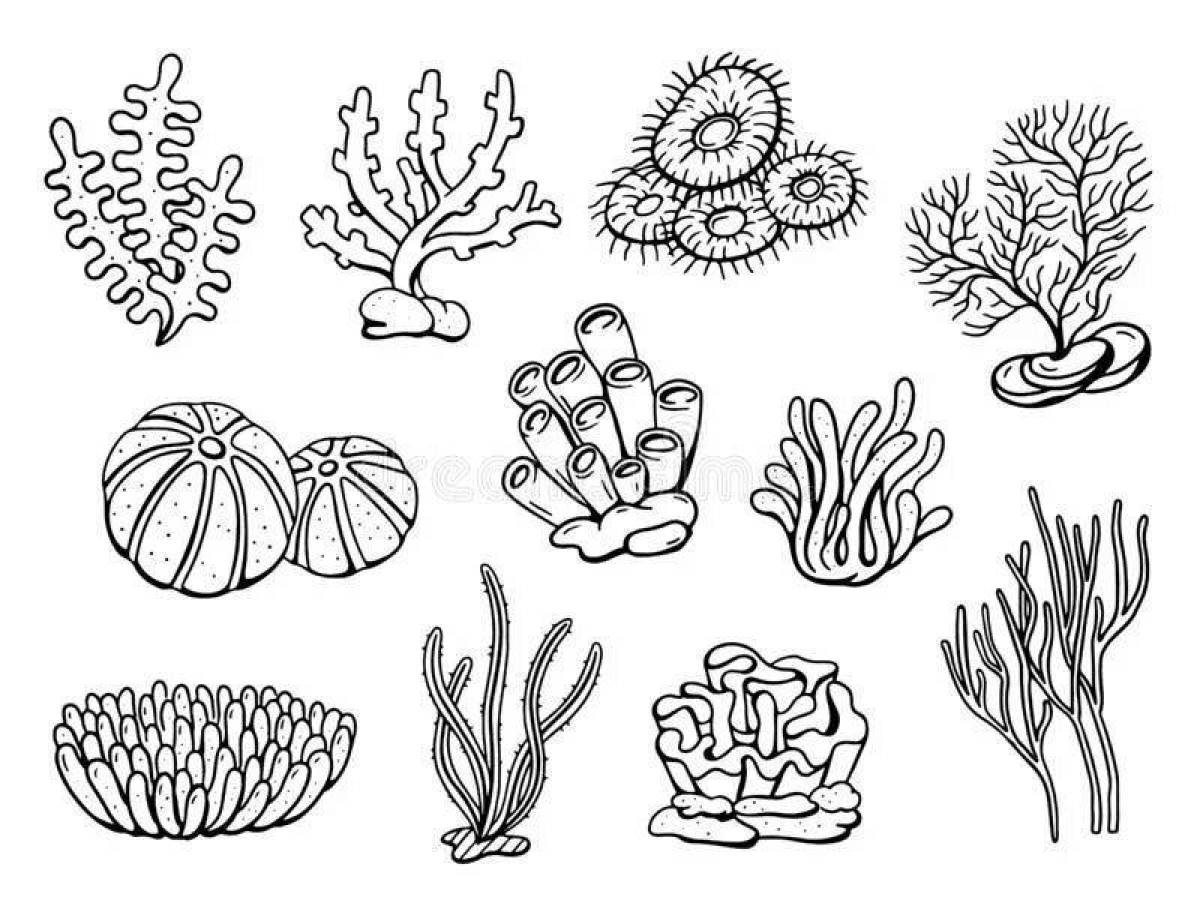 Exquisite coral coloring book for kids