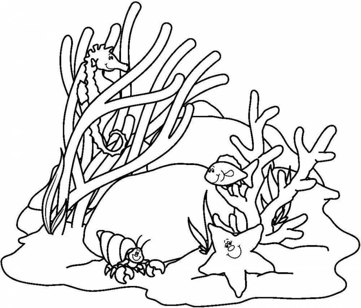 раскраска Морской Коралл, полип, который проживает в колонии в тропических морях морских средств