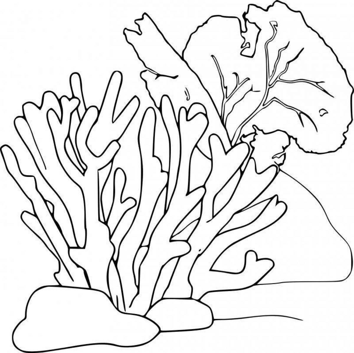 Showy coral coloring book for kids
