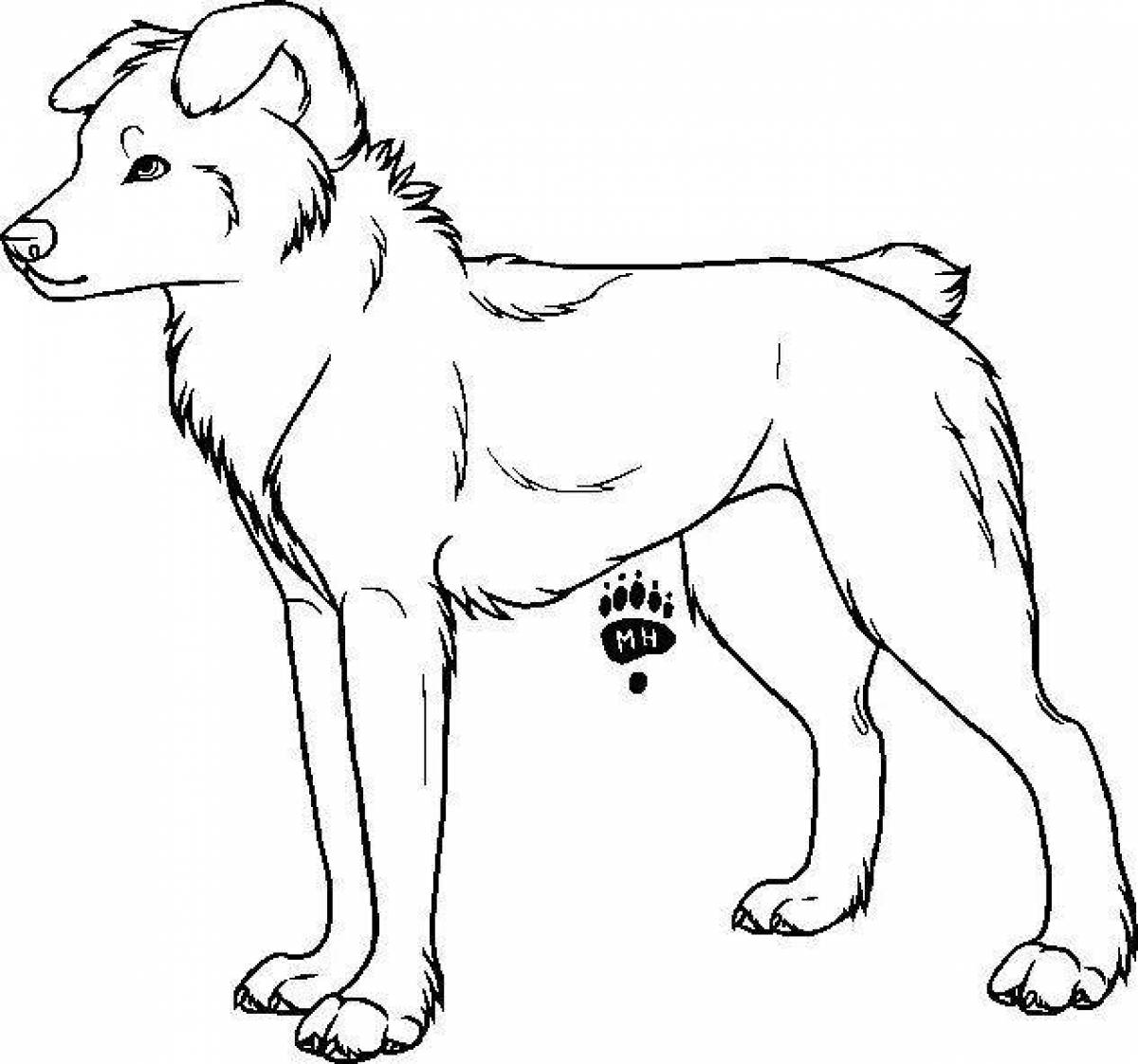 Раскраска собака овчарка щенок