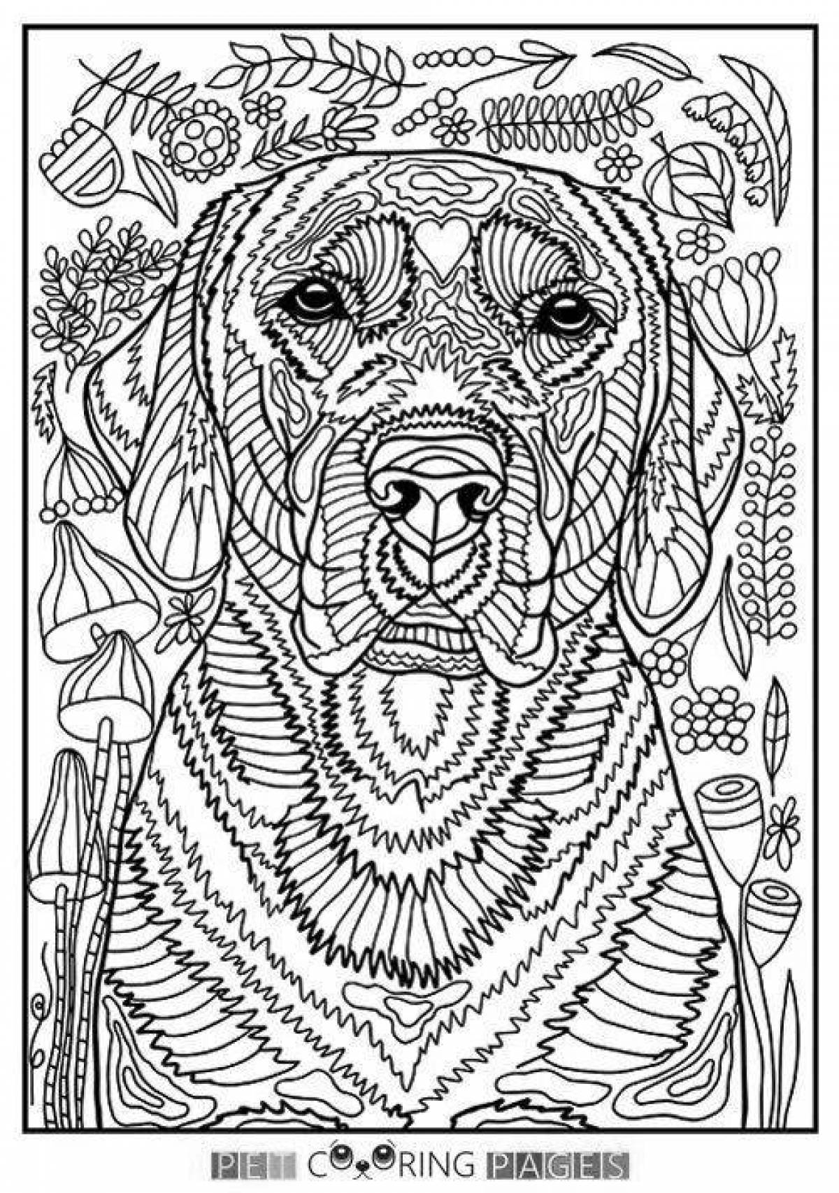 Humorous dog coloring by numbers