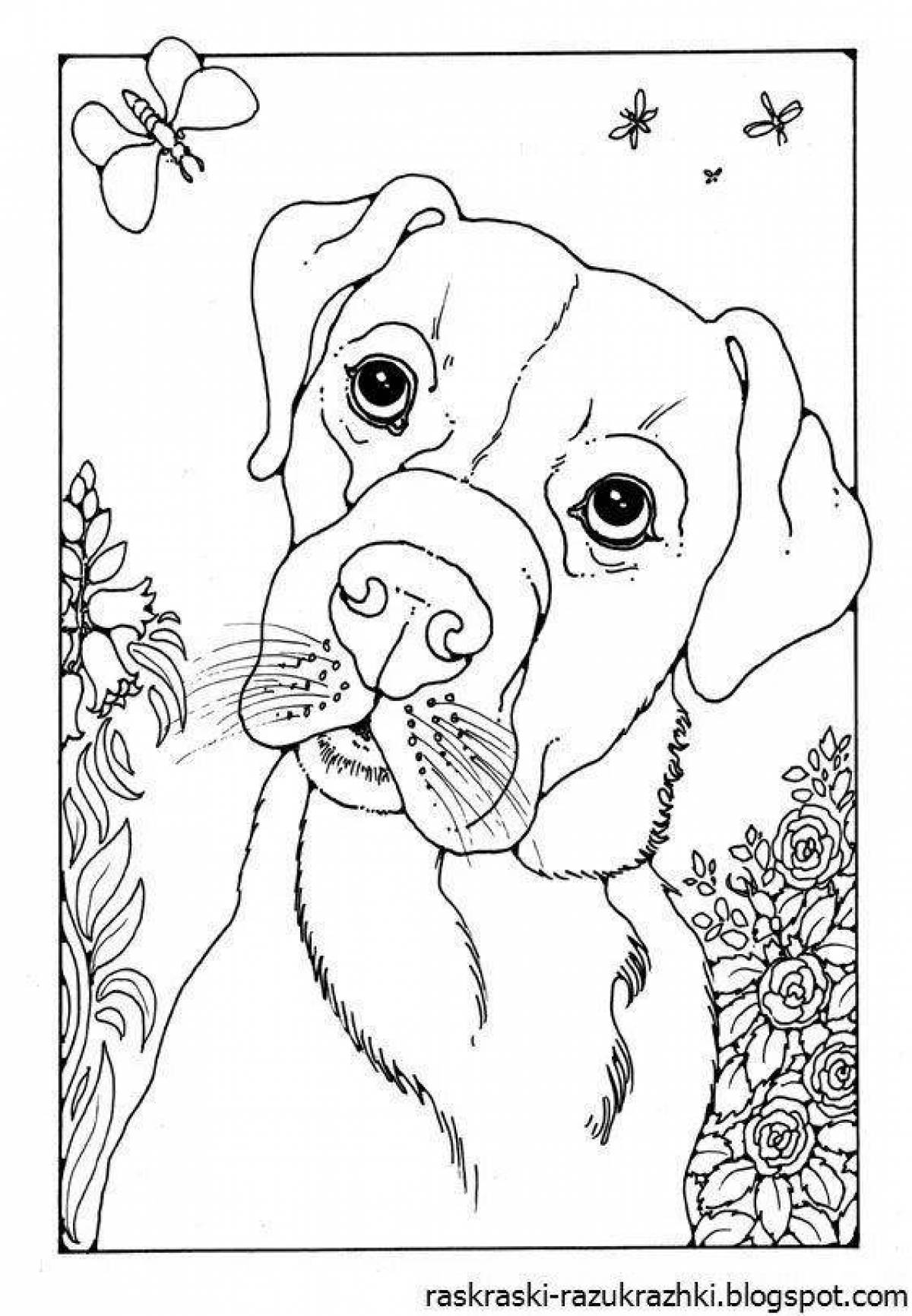 Funny dog ​​coloring by numbers