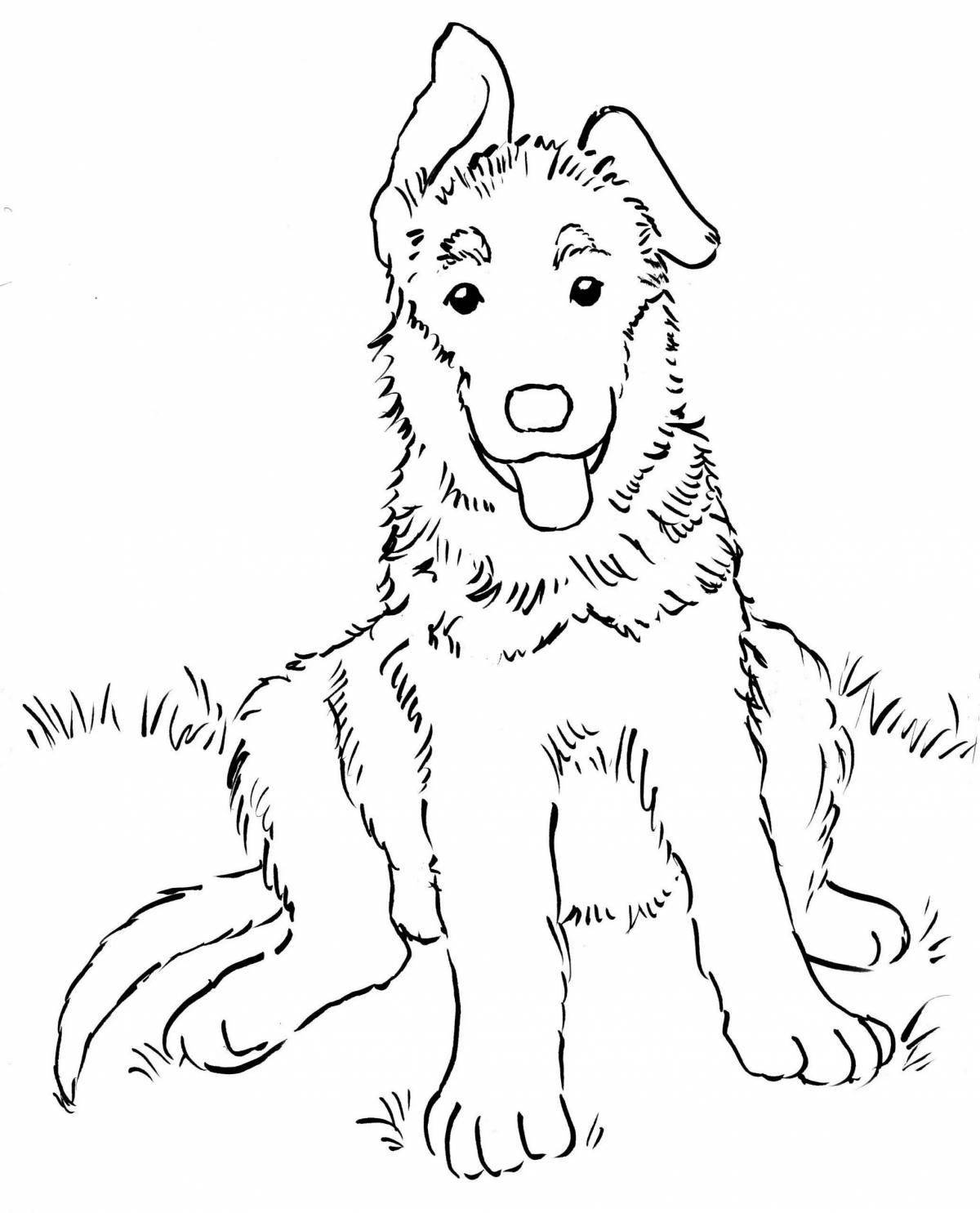 Majestic shepherd dog coloring book