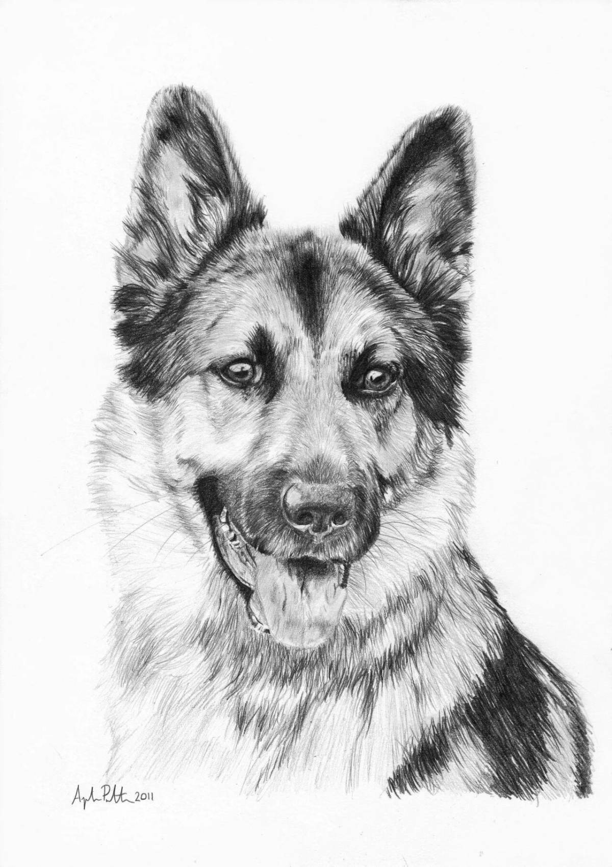 Snuggly coloring page dog shepherd