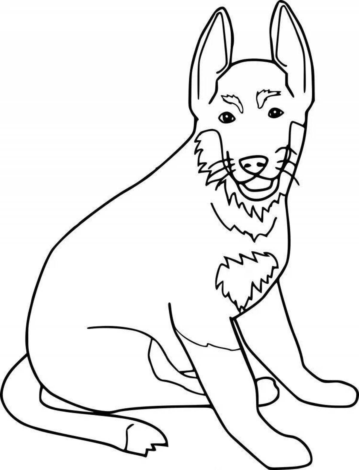 Любознательная раскраска собака овчарка