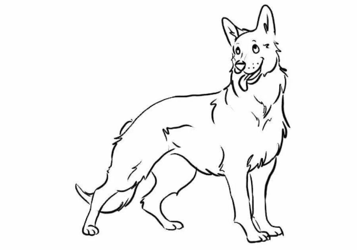 Animated coloring dog shepherd
