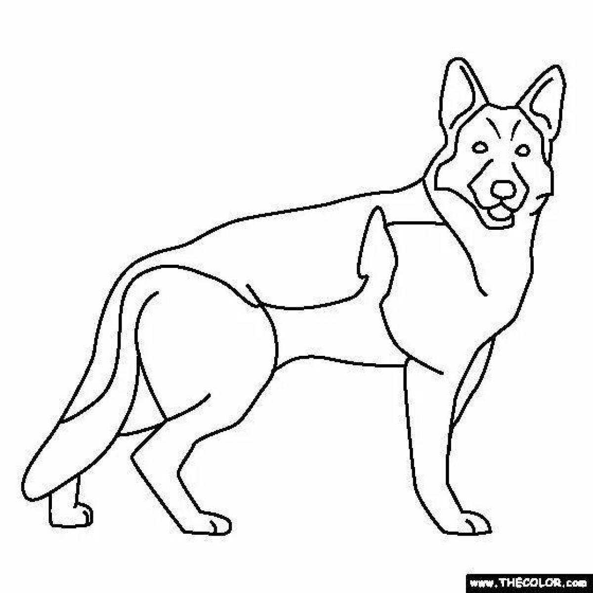 Witty shepherd dog coloring book