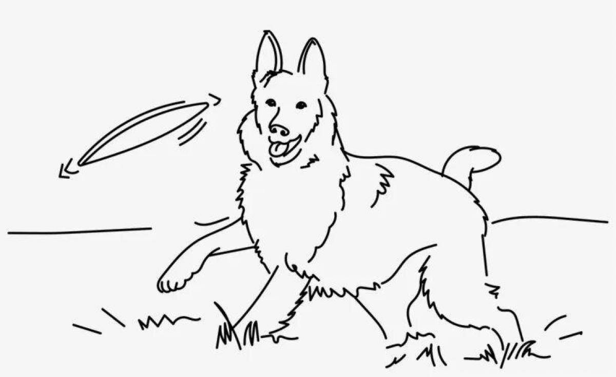Affectionate coloring dog shepherd