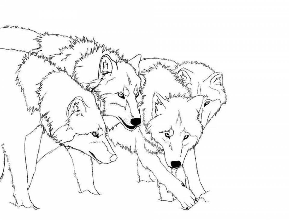 Раскраска величественный белый волк
