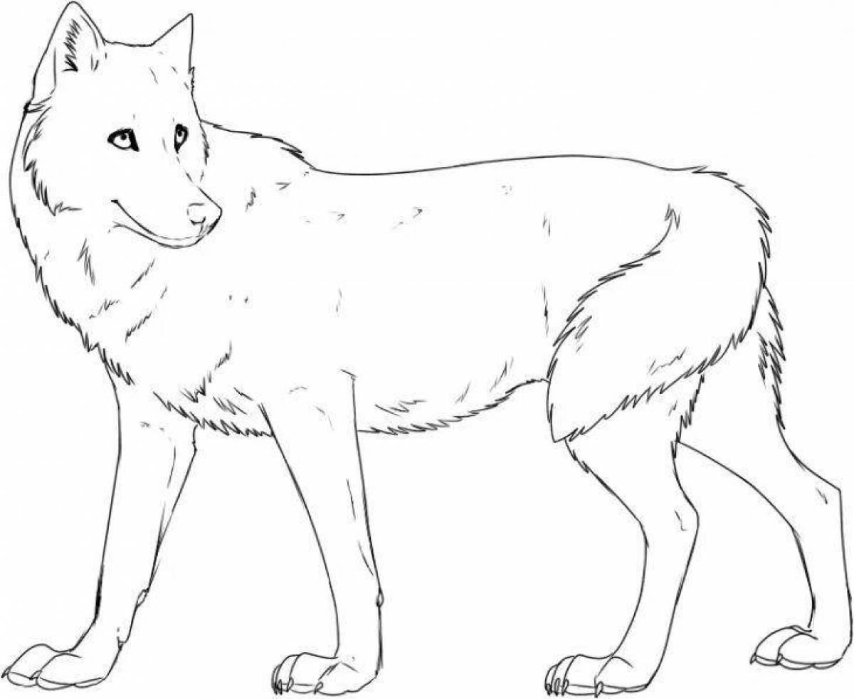 Coloring book noble white wolf