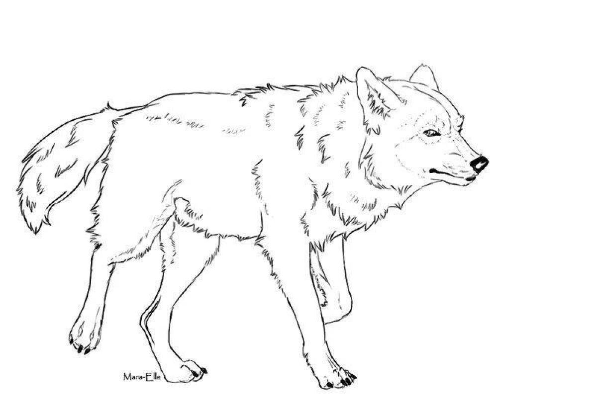 Majestic black wolf coloring page