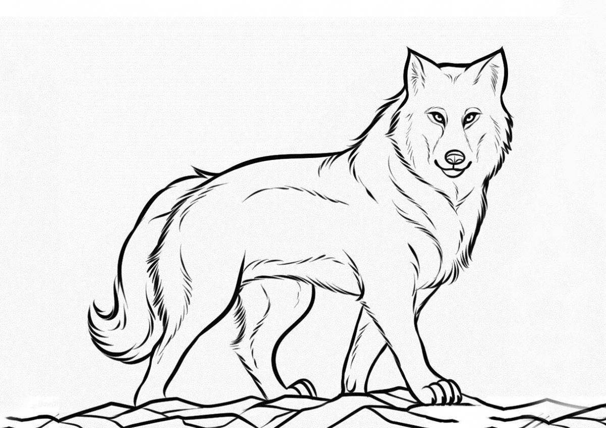 Frightening black wolf coloring page