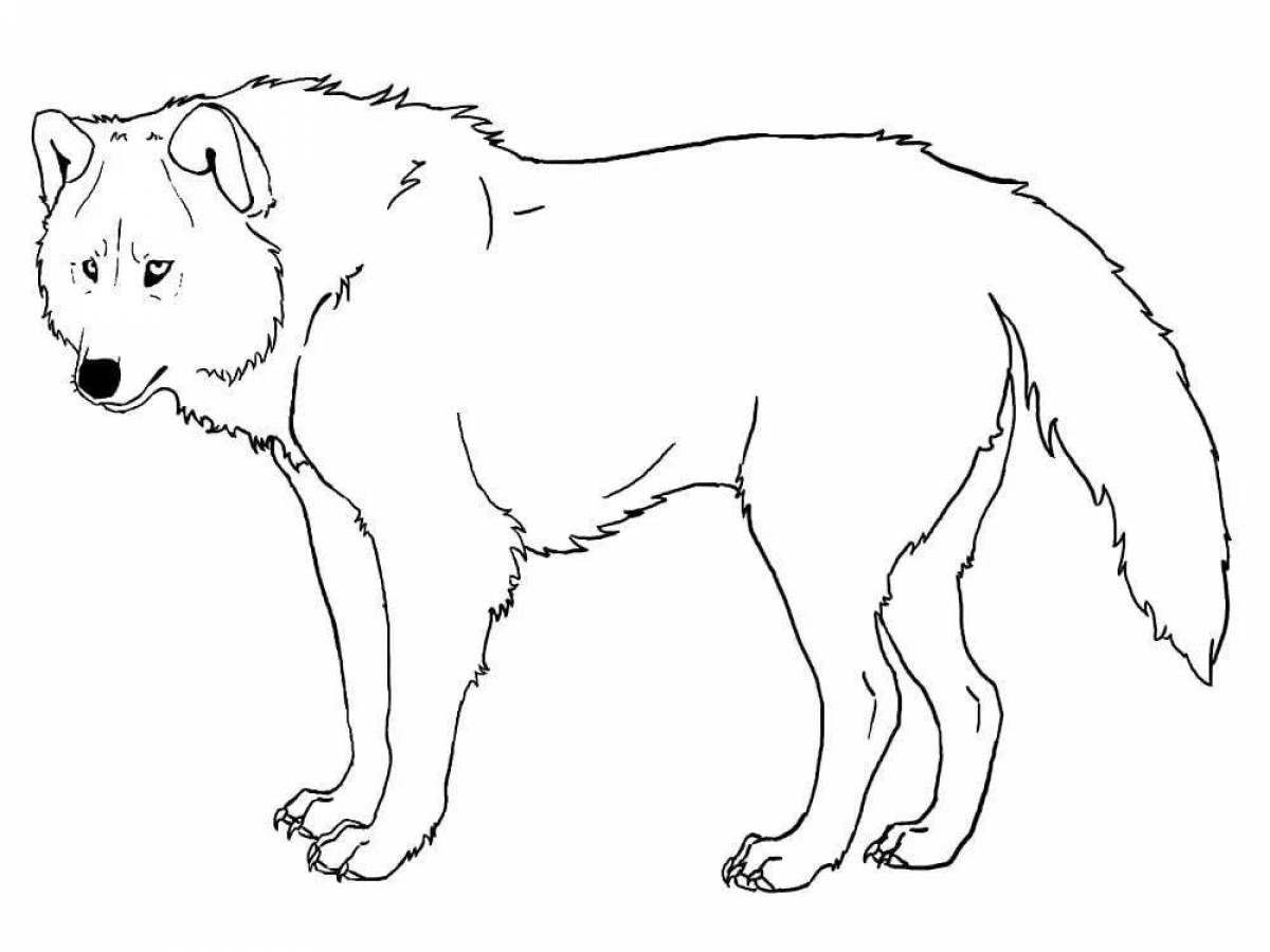 Majestic brown wolf coloring page