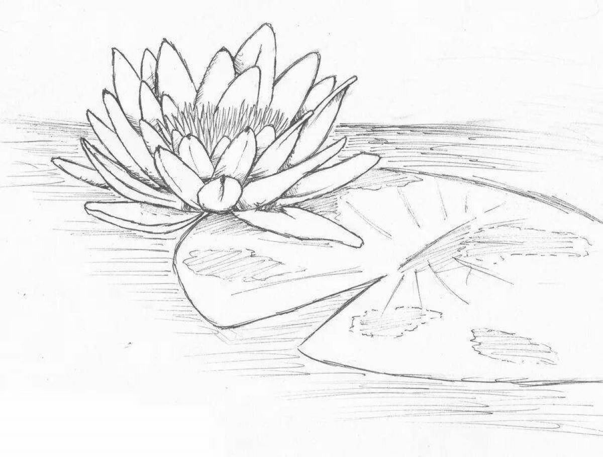 Coloring majestic white water lily