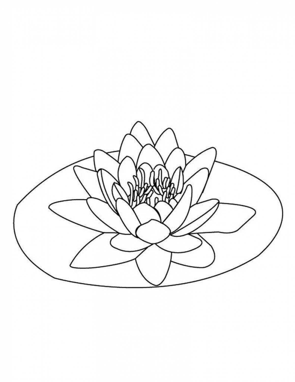 Coloring delicate white water lily