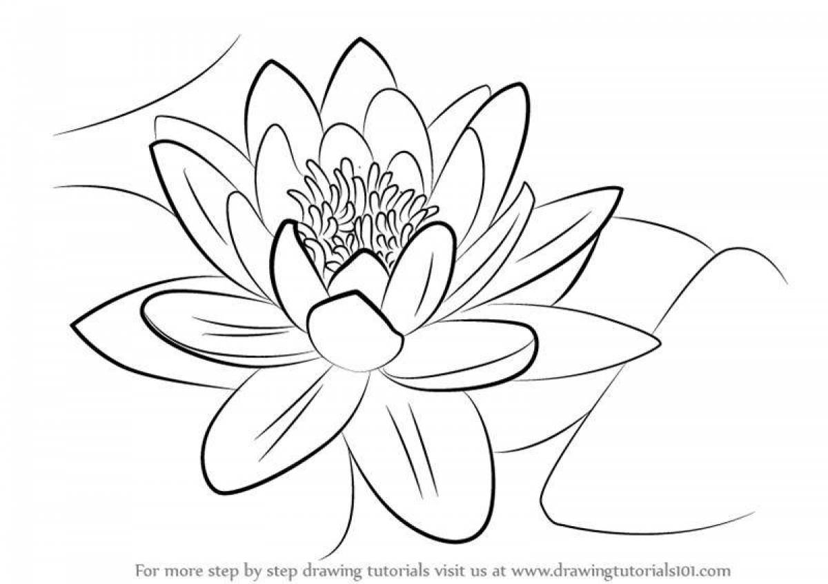Coloring book shining white water lily