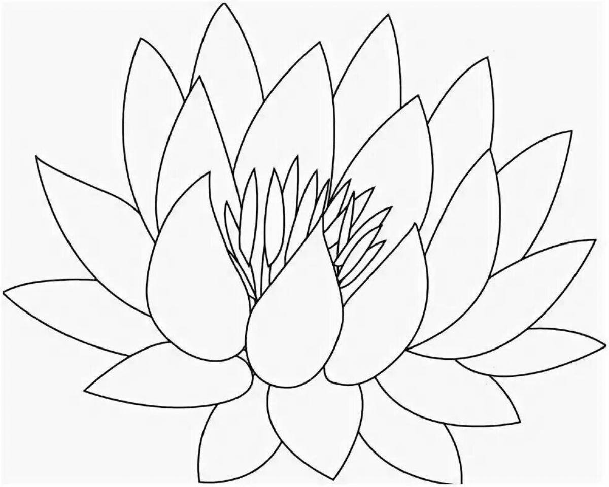 Coloring book gorgeous white water lily