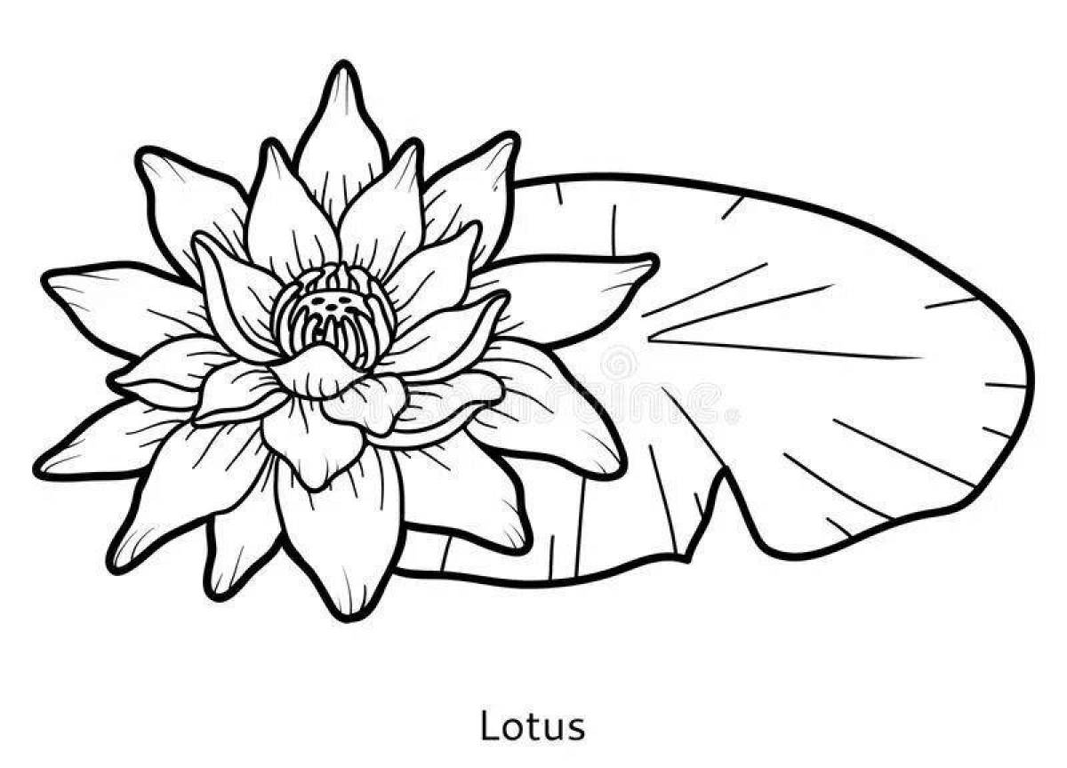 Elegant white water lily coloring book