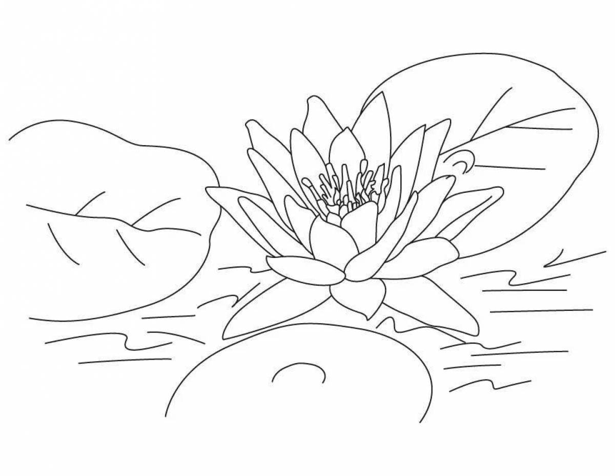 Beautiful white water lily coloring book