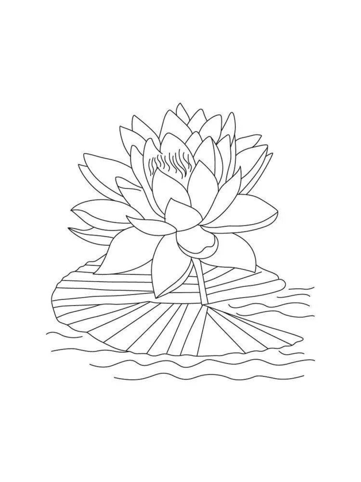 Glowing white water lily coloring page