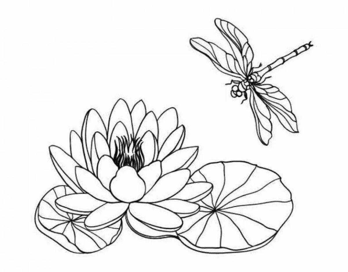 Shiny white water lily coloring book