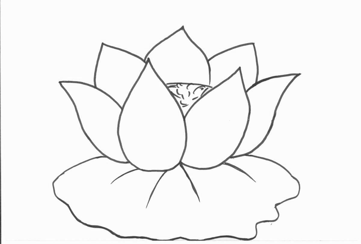 Coloring book blooming white water lily