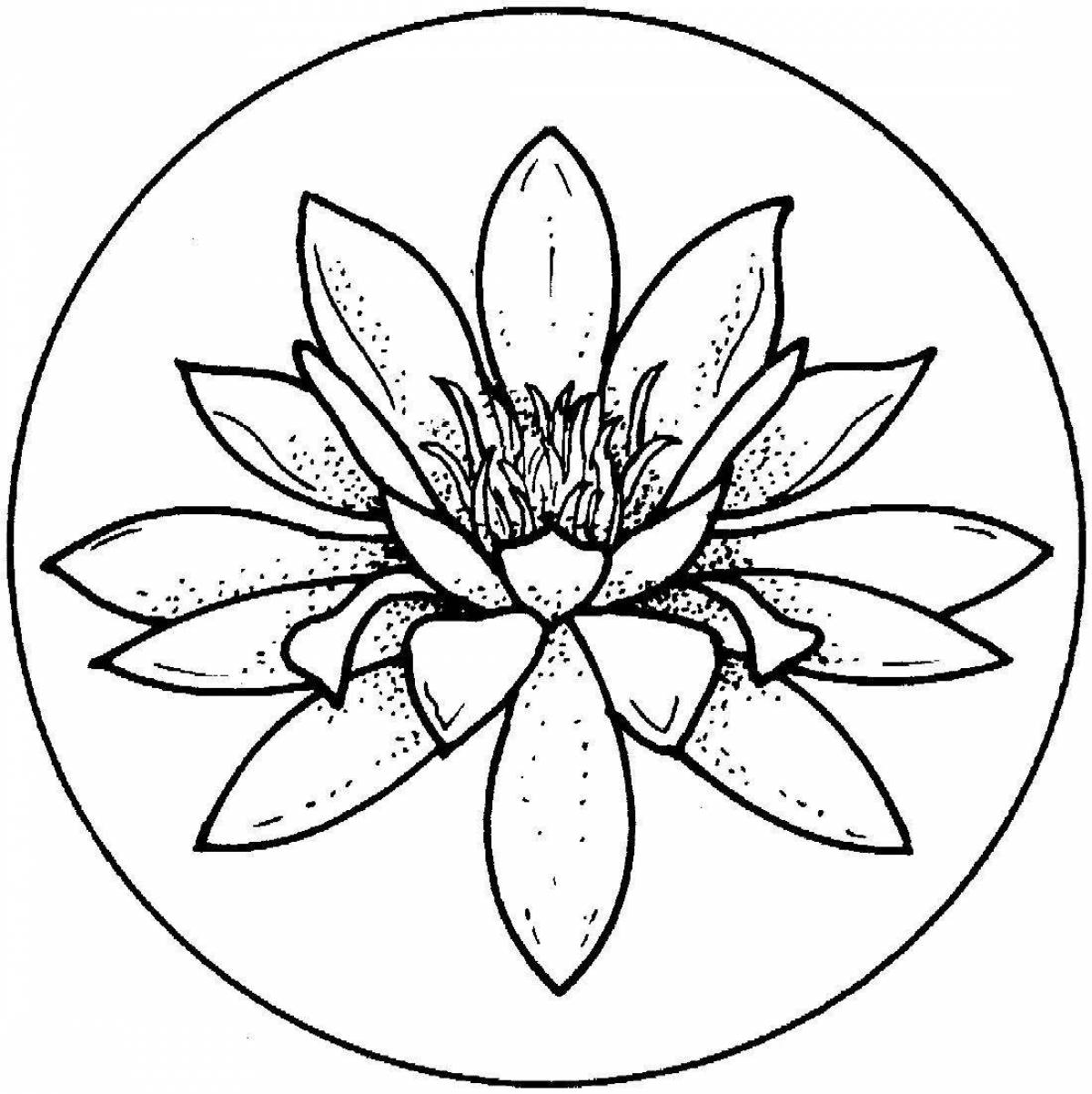 Coloring funny white water lily